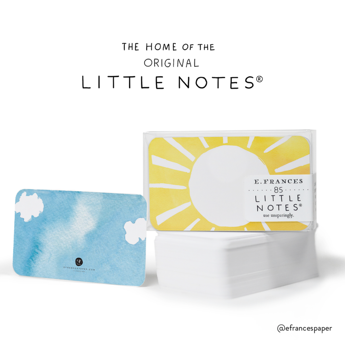 Frankie the Whale Little Notes®