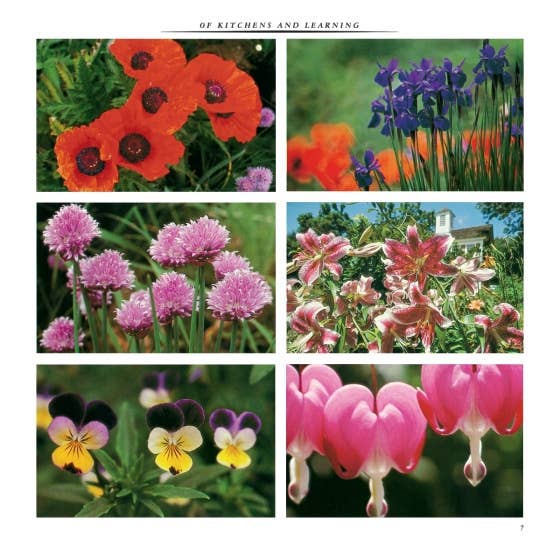 Book Entertaining Martha Retro