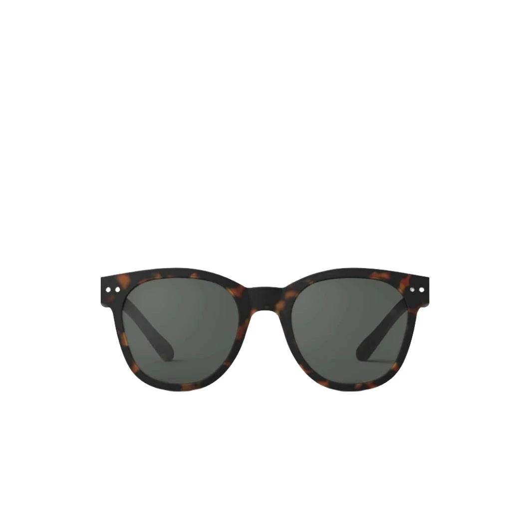 Sunglasses N