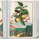 Book J.C Volkamer. The Book of Citrus Fruits. 45th Edition