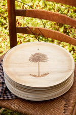 Compostable Palm Leaf Plates | Shade Tree | 6”-12"