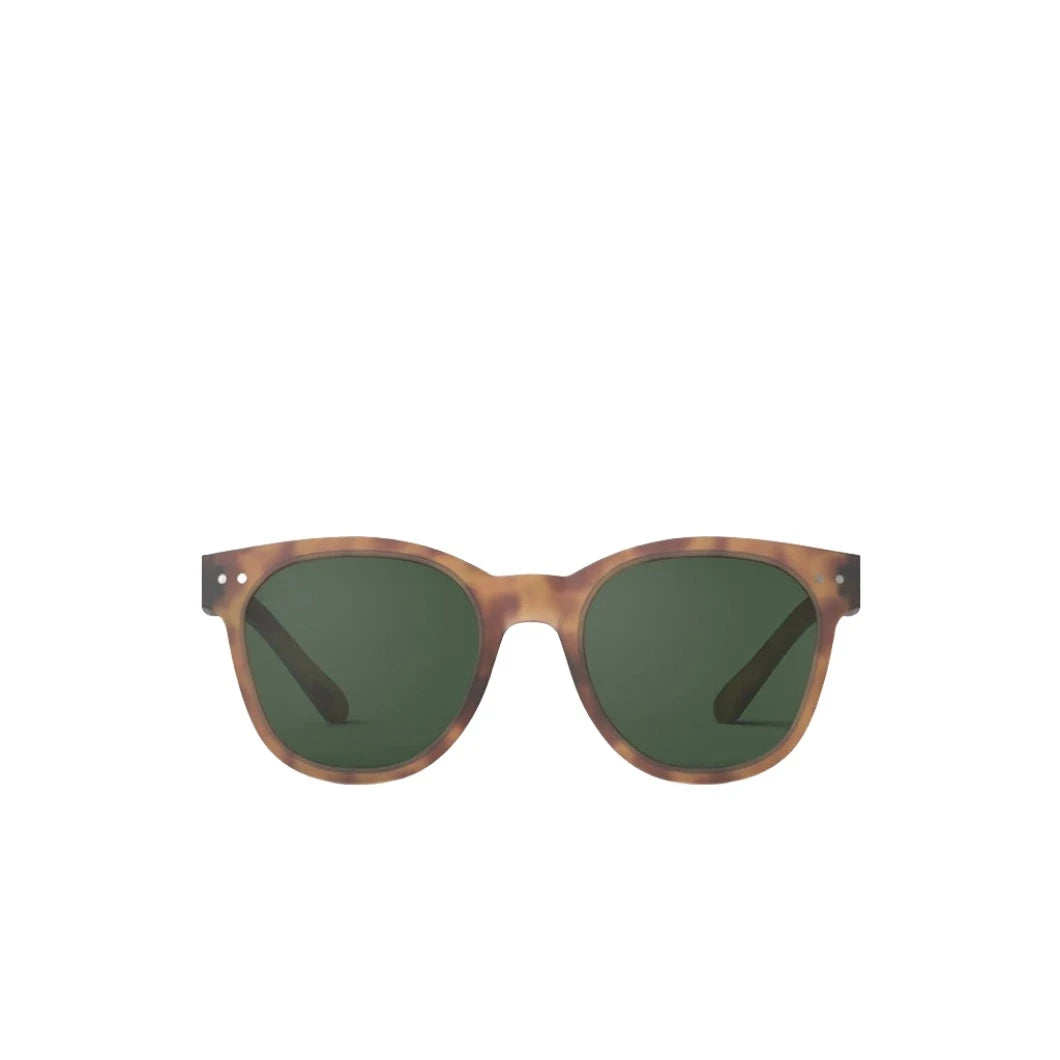Sunglasses N
