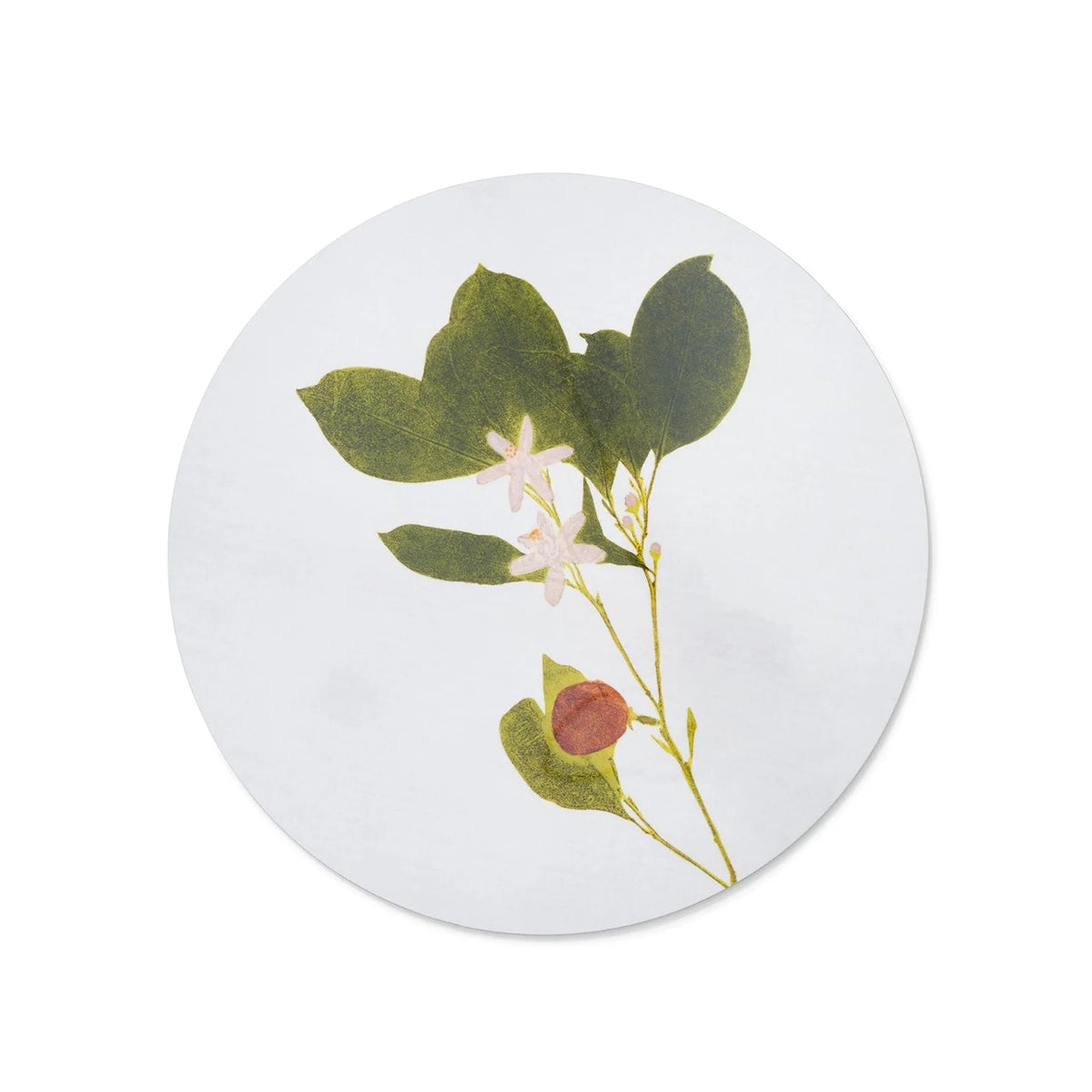 Placemat Herbarium round, cork-backed - Citrus