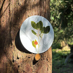 Placemat Herbarium round, cork-backed - Citrus
