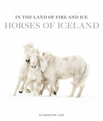 Book In the Land of Fire & Ice