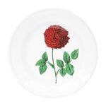 Plate Soup Hundred Leaved Rose