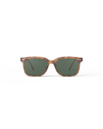 Sunglasses L