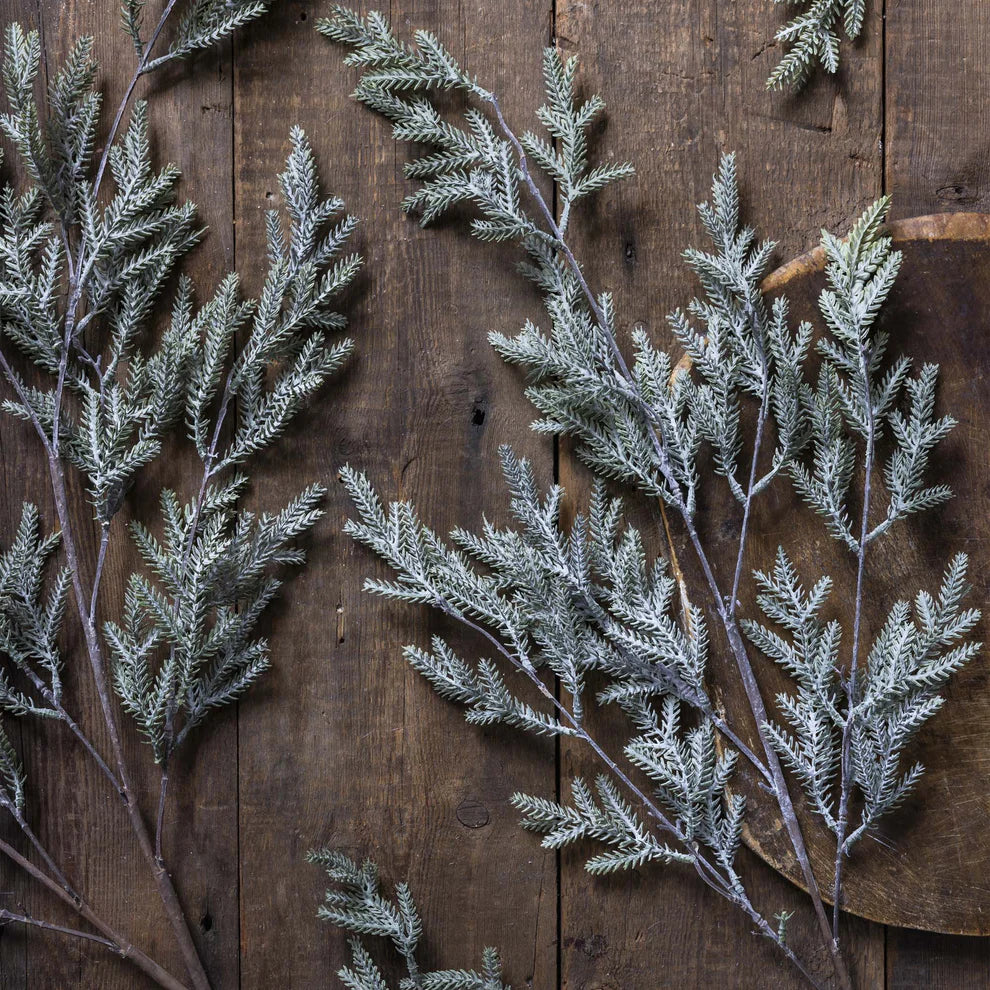Pine Branch, Frost