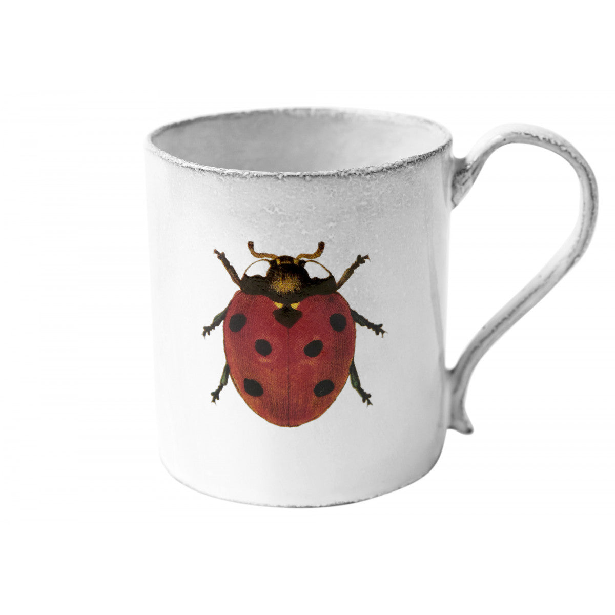 Lady bug Mug, Black clay ceramic with white enamel,Red Lady bug design, Astier de Villatte, Made in France