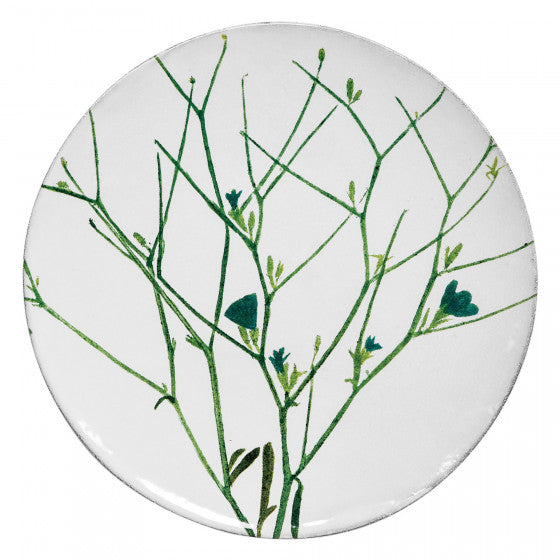 Plate Medium Cichorium