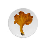 Plate Chanterelle Comestible