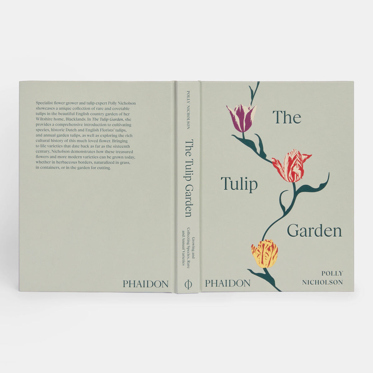 Tulip Garden: Growing and Collecting Species, Rare