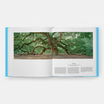 Book Tree: Exploring the Arboreal World